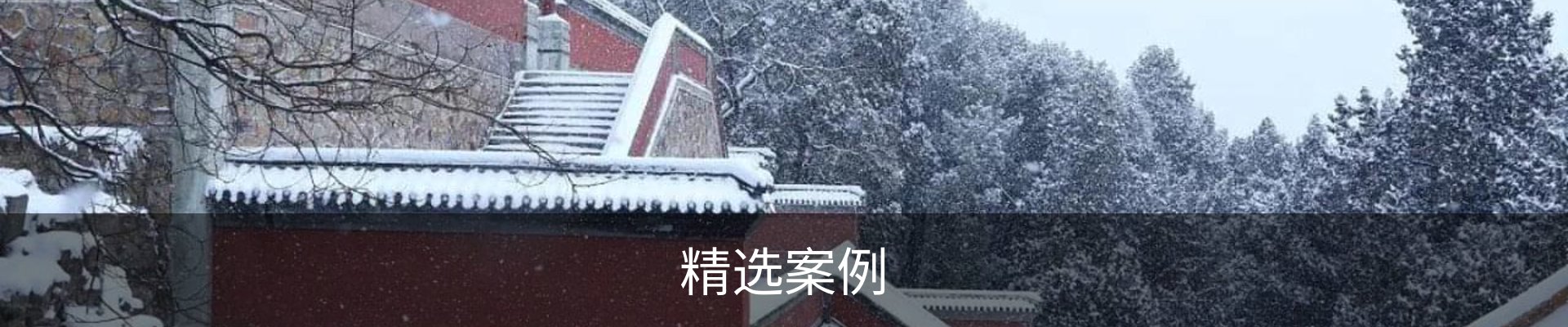 精选案例